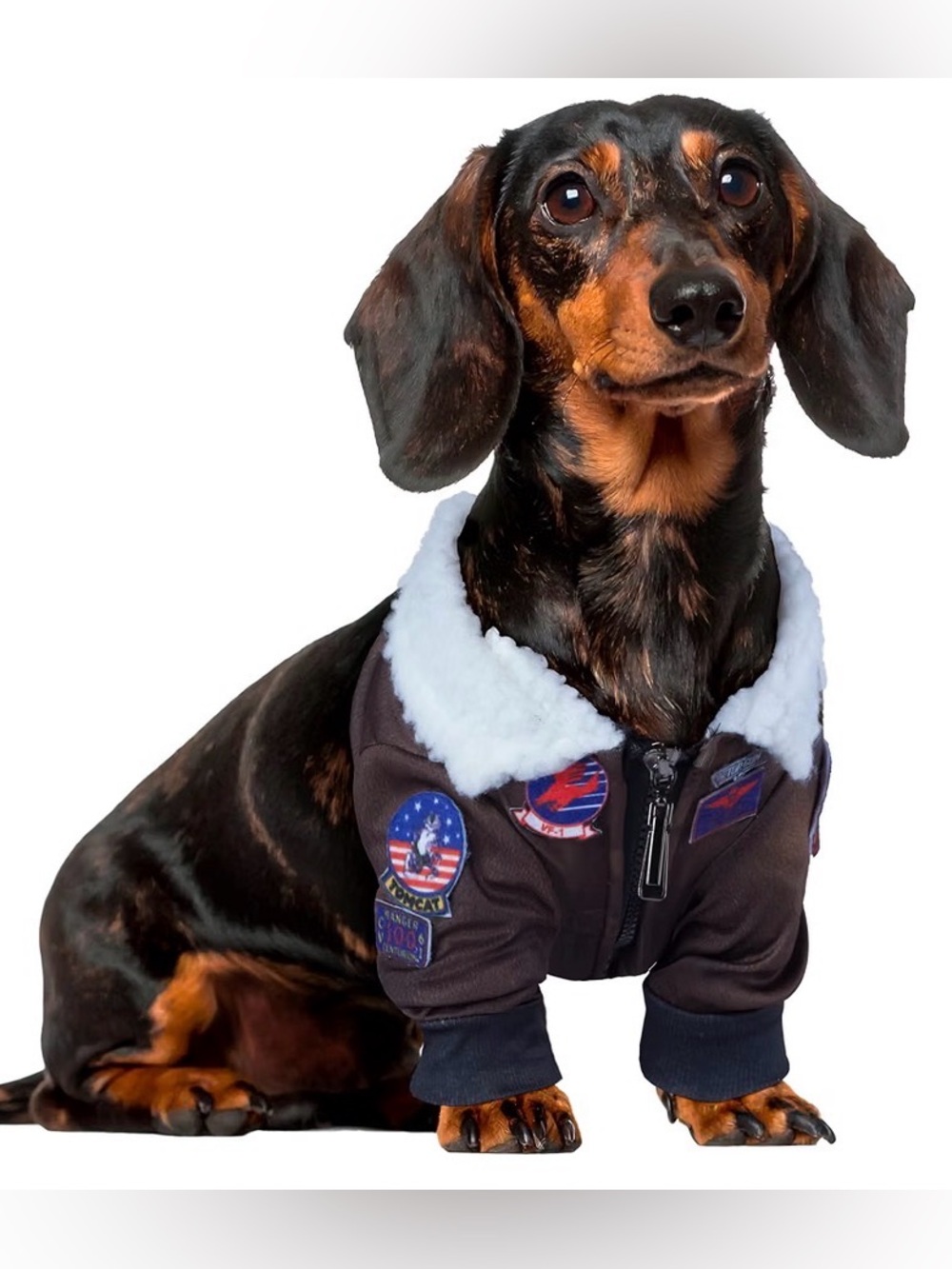 Officially licensed Top Gun Maverick dog costume by Rubie’s, size Large.